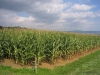 2007-turnfahrt062
