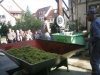 2007-turnfahrt089