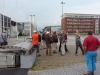 mtvreise-2011-041