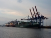 mtvreise-2011-048