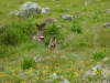 mtvreise-2012-242