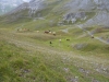 mtvreise-2012-288