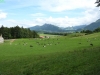 Reise13-welschl-210