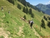 MTVN-2016-Stanserhorn-042
